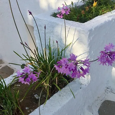 Surfer Paradise * Naxos City