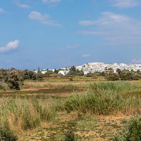 Surfer Paradise Naxos City