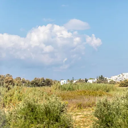 Surfer Paradise Apartman Naxos City