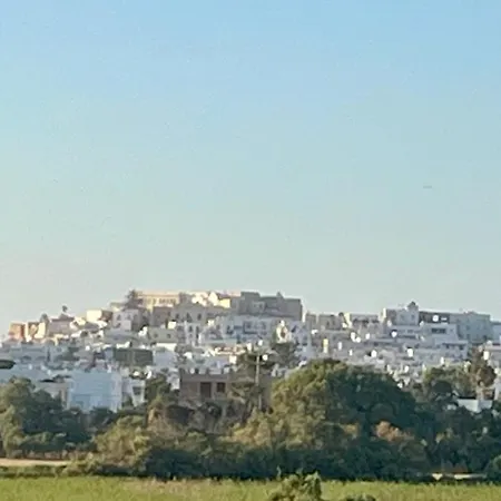 冲浪者天堂公寓 * Naxos City