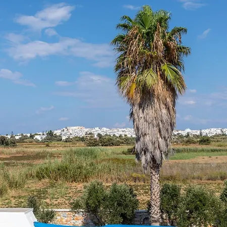 Апартаменты Surfer Paradise Naxos City