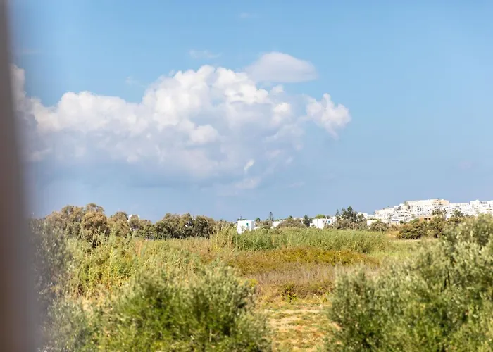 Surfer Paradise Apartment Naxos City