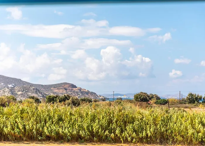 Apartment Surfer Paradise *