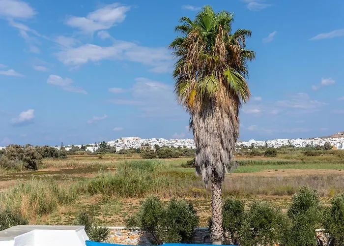 Apartment Surfer Paradise Naxos City