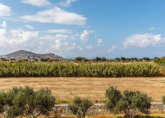 Surfer Paradise Apartment